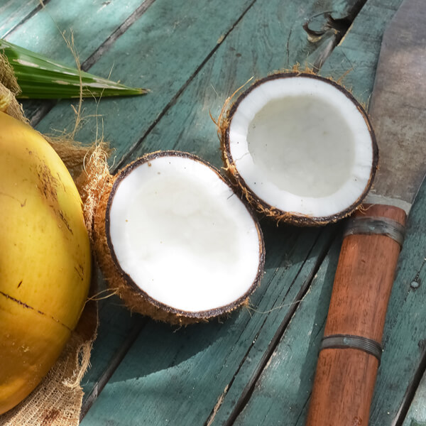 Nachhaltigkeit Kokosnuss
